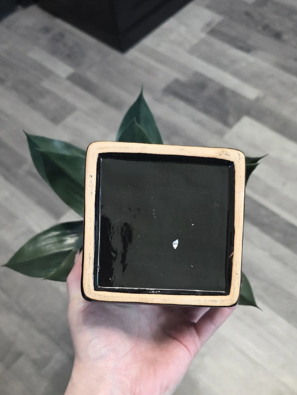 Green Faux Potted Plant in Black Ceramic Planter